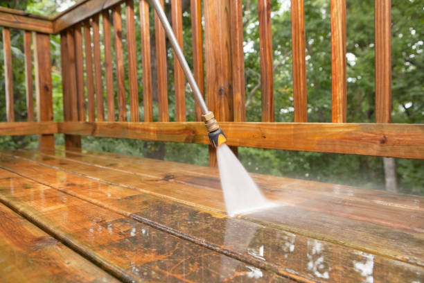 Best Roof Washing  in Waverly, NY